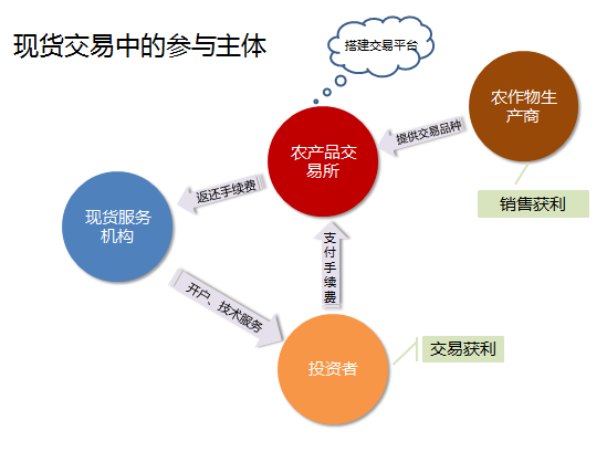 07、现货交易中的参与主体